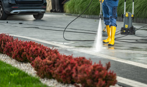 Best Roof Cleaning and Mildew Removal in Gruver, TX